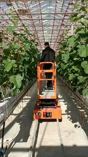 Mini Electric Scissor Lift Robot Medium Level Mobile 6m Greenhouse Harvest Trolley Order Picker